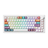 AKKO MONSGEEK M1 V5 Timeline RGB Kablosuz Hotswap Mekanik Gaming Klavye