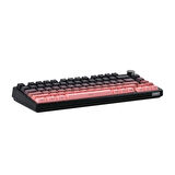 EPOMAKER HE75 Tri Mechanical Black Pink Flamingo Switch RGB Kablosuz Hotswap Mekanik Gaming Klavye