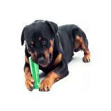 Köpek Diş Kaşıma Isırma Oyuncağı Büyük Boy