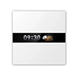 Aqara Ekranlı Kontrol Anahtarı V1 WS-K02D (Apple Home Destekli)