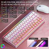 Aula Hero 68 He Manyetik Klavye Rapid Trigger Black King Switch 8000Hz RGB Neon TKL Hot Swap Oyuncu Klavyesi Pembe