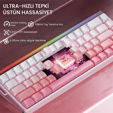Aula Hero 68 He Manyetik Klavye Rapid Trigger Black King Switch 8000Hz RGB Neon TKL Hot Swap Oyuncu Klavyesi Pembe