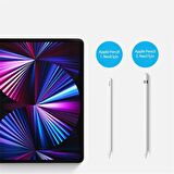 Polham Dux Series 2 Adet Apple Pencil 1/2 İçin Yedek Kalem Ucu, Basınç ve Eğim Duyarlı Kalem Ucu