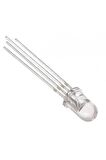Rgb Led 5mm Şeffaf Anot 4 Bacaklı Raspberry 5 Adet