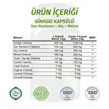 Ginkgo Kapsül (Ginkgo Biloba Capsule )