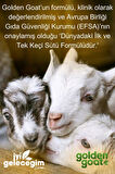 Golden Goat Keçi Bebek Sütü 1 Numara 400 Gr 6'lı Paket