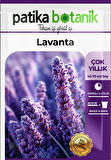 100 Adet Lavanta (Lavandula) Çiçek Tohumu 
