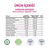 Ekinezya Kapsül (Echinacea Capsule) 