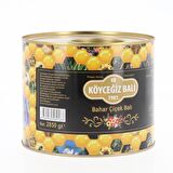 Köyceğiz Balı Bahar Çiçek Balı 2850 G Teneke