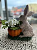 Tavşanlı Havuçlu Saksı, Bahçe, Teras Dekorasyon, Paskalya, Easter, Garden Decor, Carrot