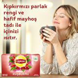 Lipton Kuşburnu 20'li