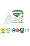 Molped Pure & Soft Gece Süper Ekonomik Ped 16 Lı X 3 Adet