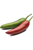 5 Adet Tohum Acı Meksika Biberi Tohumu Jalapeno Piberi