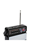 NS-2730LS Güneş Enerjili FM AM SW Bluetooth Portatif Radyo NNS