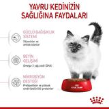 Royal Canin Yavru Kediler için Kuru Kedi Maması 2kg