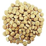 Dökme Bakliyat Acı Bakla/Yahudi Baklası - 250 gr