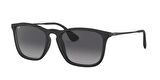 Ray-Ban RB4187 622/8G 54 Unisex Günes Gözlügü 4187