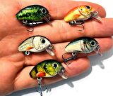 Valkyrie 5 Adet Crankbait LRF Balık Olta Yem Seti - Sesli bilyalı - Kutulu - 2.7cm 1.5gr