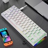 Valkyrie Leaven K620 Blue Switch Mekanik Gaming Oyun Klavyesi RGB 61 Key Mavi Tuş Type-C Klavye Beyaz