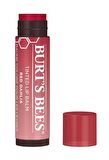 Burts Bees Tinted Red Dahlia Renkli Dudak Bakım Kremi