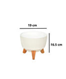 Omnipazar ELF-494 Dekoratif Ayaklı Nostalji Saksı 2.8 lt Beyaz 5 Adet 