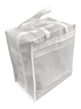 Ayakkabı Taşıma Saklama Hurcu 35x22x40cm Organizer Düzenleyici 