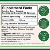 Berberine 500 mg 60 Kapsül