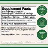 Cıssus Extract 1000 mg 100 Capsules