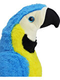 Peluş Papağan 35 cm