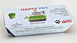 Kedi Çimi Kedi Otu Seti 100gr 6 Çeşit Tahıl Karışımı Ek Vitamin Mineral Tüy Yumağı Engeller