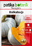 15 Adet Bal Kabağı Tohumu 