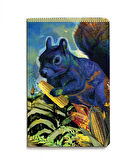 Nesin Defter - Mısır