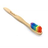 Humble Brush Adult Proud Medium