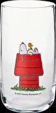 Snoopy Kulübe