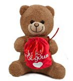 Çikolatalı "İyi ki Doğdun " Temalı Peluş BOZ Ayıcık-30 cm