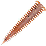 Berkley Gulp New Penny 5cm Saltwater Sandworm 16 adet kokulu lrf silikon
