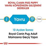 Royal Canin Pug Yavru Köpek Maması 1.5kg