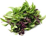TARÇIN AROMALI FESLEĞEN TOHUMU