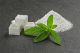 Stevia şeker otu tohumu