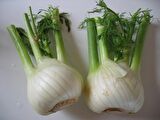 KÖK REZENE TOHUMU