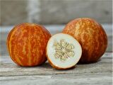 KOKULU SÜS KAVUNU TİGER MELON TOHUMU
