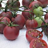 ÇİKOLATA CHERRY DOMATES TOHUMU