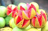 GUAVA MEYVESİ TOHUMU
