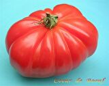 BİFTEK DOMATES TOHUMU*(COUER DE BOUEF