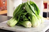 BABY PAK CHOI - ÇİN LAHANASI TOHUMU