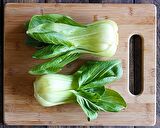 BABY PAK CHOI - ÇİN LAHANASI TOHUMU