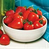 ÇİLEK DOMATESİ (tomatoberry)