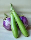 YEŞİL PATLICAN* (THAI EGGPLANT)
