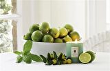 LİMON AROMALI FESLEĞEN TOHUMU