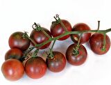 BLACK CHERRY TOHUMU